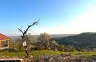 Teren intravilan de vânzare – Gheorghe Doja | Panoramă superbă - 1