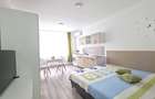 Garsonieră pet-friendly, utilități incluse, Str. București - 5
