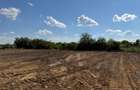 Teren intravilan, 350 mp, front 15 m, toate utilitatile, zona Brestei - 3