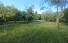 Casa / Proprietate deosebită cu 8142 MP teren | Oarda | - 12