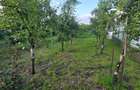 Teren d e vanzare 14000 mp , ultracentral Odobesti - 4