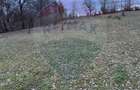 Teren intravilan cu priveliste de vanzare in Rus - 5