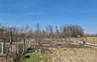 RECO Teren mare cu 2 case in Sabolciu, com. Sacadat - 14