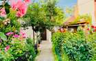 Vand casa ultracentra 199.000 euro - 12