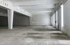 Hala 650mp de inchiriat, recent renovata, zona Industriala - 2