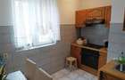 Apartament 4 cam. zona centrala in Moldova Noua - 8