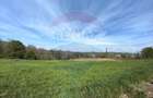Teren intravilan de vânzare – Copalnic Mănăștur – 3.000 mp - 3