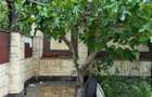 Casa D+P+M teren 333mp - TOMIS II - 22