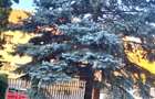 Langa Parc Padurice, pentru locuit sau afacere - 38