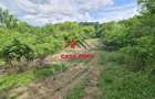 Teren intravilan in Poiana Campina--1954mp--23.500e - 10