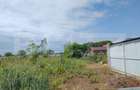 Teren intravilan, 987 mp, deschidere 19,5 m, Mânăstire Cârcea - 2