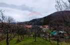 Casă cu farmec tradițional în Săliște – 1.000 mp teren, priveliște! - 2