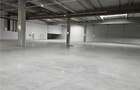 Spatiu Industrial - 1800 mp - Productie - Depozitare - Distributie - 15