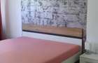 Brancoveanu-Dorohoi-Apartament de 3 camere - 8