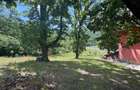 Cabana 100mp cu 30 ari teren 160000eur neg - 2