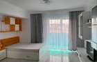 Închiriere apartament cu o cameră Bucium Vișani  - 9