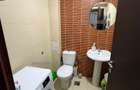 Vila P+1+M Splaiul Unirii - Cheiul Dâmboviței Bucuresti-IF - 19