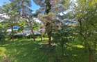 Inchiriem Apartament 2 Camere, Mobilat, Decomandat, Centru Civic - 10