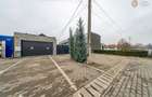 Spatiu Comercial De Inchiriat Zona Micalca - 19