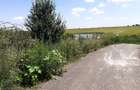 Vand teren parcelabil, pe malul lacului Mostistea, 2400mp, in Belciugatele - 1