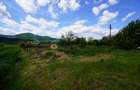 Teren 9000 mp intravilan Piatra Neamt , ideal investitie - 11