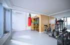Penthouse Vacaresti Delta Vacaresti Mobilat Utilat Lux - 8