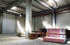 Spatiu depozitare zona Drumul intre Tarlale /Industriilor 992 mp - 11