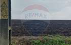 Teren agricol partial intravilan de vanzare in Filipesti jud. Bacau - 4