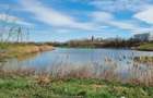 Teren 10.000 mp de vânzare – Balotești – PUZ locuințe - 7