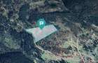 Teren 36000 mp, Borsec - 2