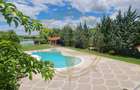 DOM00444 - Vila luxurianta la lac cu ponton si casa de barca  Snagov - 10