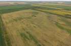 Teren investițional strategic 44.700 mp Arad Vest - 18