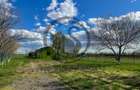Cladire de birouri de inchirat | 500 mpu | Ploiesti | Comision 0% - 19