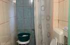 Voluntari Vanzare Casa batraneasca cu teren 100mp - 15