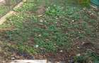 Teren intravilan Ploiesti-Zona Bariera Bucov - 7