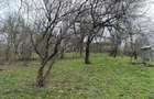 Teren intravilan 1518 mp, constructie, Sotrile, Prahova - 24 EUR/mp - 1