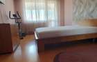 De vanzare apartament 3 camere Dristor-Baba Novac - 9