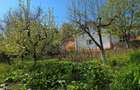 Teren intravilan - 1024 - Bucium - 2