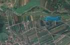 Teren Extravilan | 11.100 MP | 32M Deschidere| Orizont-Bărăbanț | OPORTUNITATE | - 1