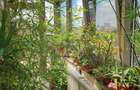 Penthouse 5 Camere - 325 m.p. | Parcare | Zona Matei Voievod - 5
