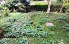Apartament de 3 camere , 67.5 mp, Parter inalt/4,  str. Lunii- Zorilor - 13