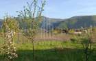 Teren Intravilan - Orlat jud. Sibiu - 3