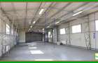 Hala de depozitare 375 mp de închiriat, Mihai Bravu-Lukoil, ECX80258 - 4