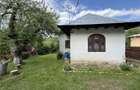 2 Case + teren 1390 mp langa parcul central Provita de Sus - 29