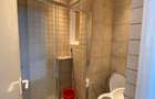 APARTAMENT 3 DORMITOARE DE INCHIRIAT ARMENEASCA - VASILE LASCAR - 8