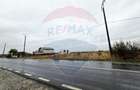 Teren extravilan de vanzare in Frumusani, acces direct DN4 - 3