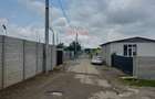 1.134 mp cu front 39,4 ml - Briera Valcii- Intrare din Centura de Nord - 9