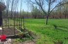 Oaza de liniste cu izvor natural si padurice - 3800 mp intravilan in Mastacani - 4