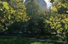 3 Camere | Decomandat | Dristor | Parter | - 10
