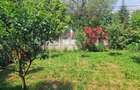 Casa 2 camere în zona spitalul Clujana - 8